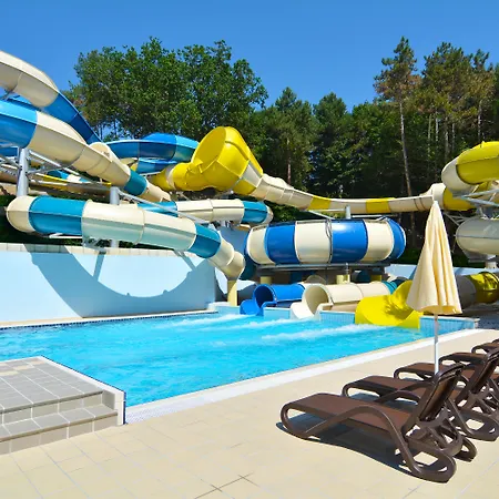 Aquaclub Grifid Bolero Sables d'or